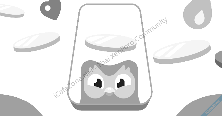 No Description No Description