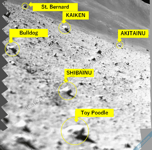 No Description No Description