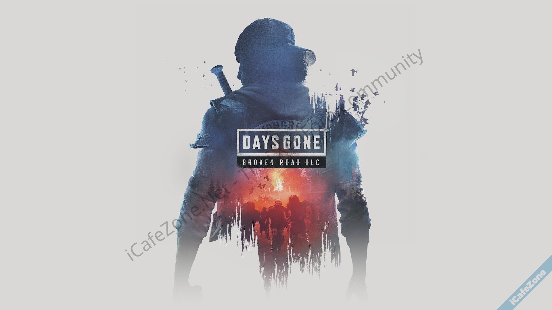 No Description No Description