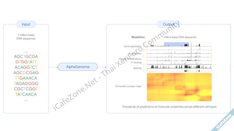 DeepMind เปิดตัว AlphaGenome โมเดลทำนายการกลายพันธุ์ของ DNA-1.png DeepMind เปิดตัว AlphaGenome โมเดลทำนายการกลายพันธุ์ของ DNA-1.png